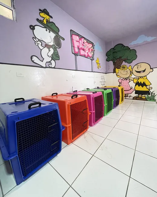 Caixas de transporte coloridas, uma pra cada cão