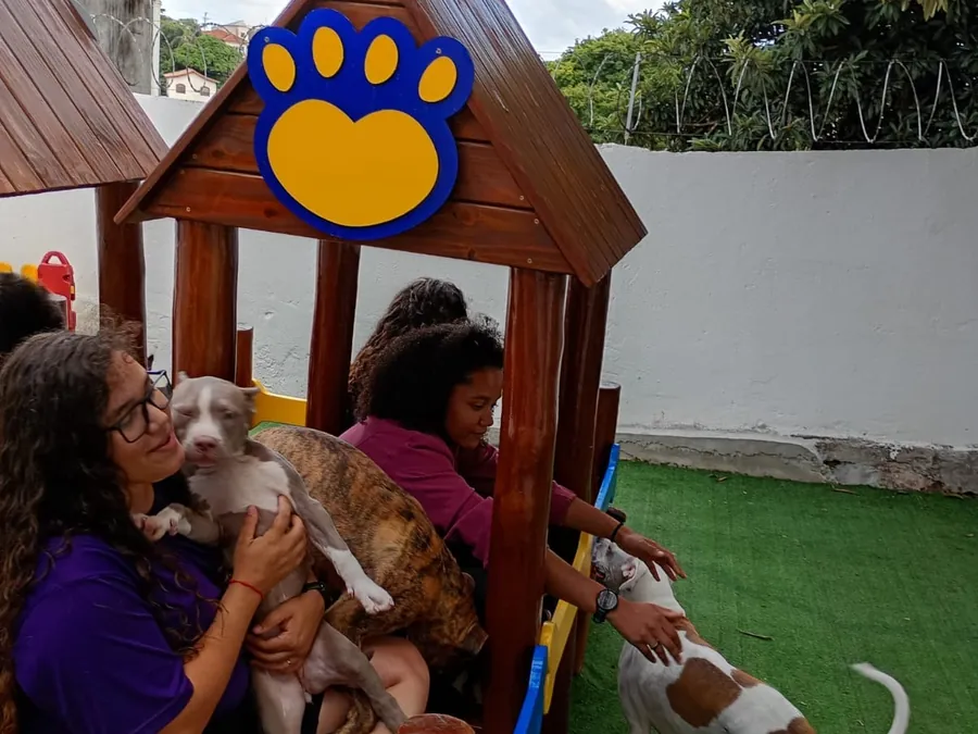 Equipe da Fases abraçando os cães na casinha do parque
