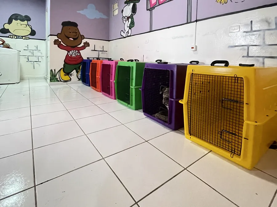 Caixas de transporte coloridas enfileiradas no quarto com mural